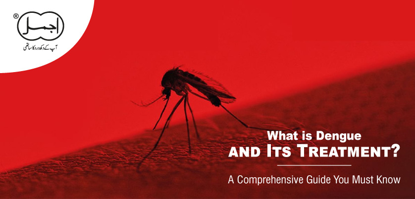 WHAT IS DENGUE AND ITS TREATMENT? A COMPREHENSIVE GUIDE YOU MUST KNOW