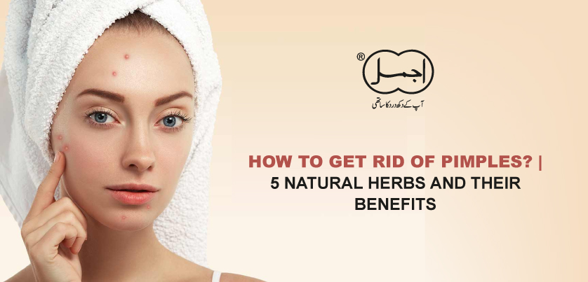 HOW TO GET RID OF PIMPLES? | 5 NATURAL HERBS AND THEIR BENEFITS